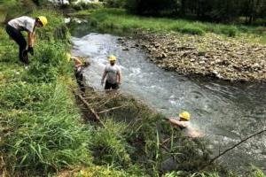 conservation riverbank